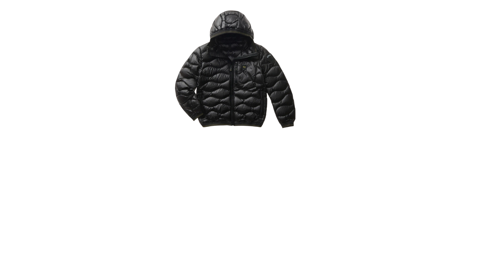 BLAUER